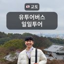 [교토] 유투어버스 교토 일일투어 내돈내산 후기 (후시미이나리/아라시야마/청수사/금각사)