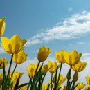 고수연세무회계사무소