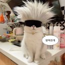 오타쿠