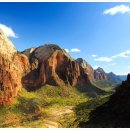 자이언(ZION) 이미지