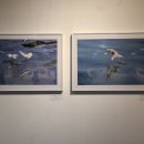 효원한의원 이미지