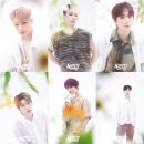 두번째 섬데이 이미지