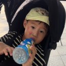 티지패션 앞 교통섬 | 우니동동 푸꾸옥 3박5일 여행공구 후기 현실적인 21개월 아기랑 3월 푸꾸옥 두번째 해외여행 준비 및 후기