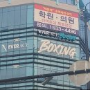 에이스복싱 이미지