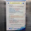 노량진 수산시장 대하 구입 후기 (ft. 가을맞이 대하구이 캠핑요리)