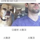 강남종로교대학원 | 뉴강남자동차전문학원 2종 보통 (자동) 도로주행 재수 합격 후기
