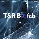 티앤알바이오팹 이미지