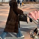 31 | 에르메스 Hermes 에르백31 후기 착샷 사계절코디방법 명품입문백 에벤 코팅 금장