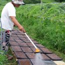 푸름농장 이미지