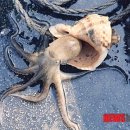 선진민박 이미지