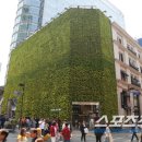 ㈜레드캡투어 이미지