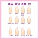 네일리프레