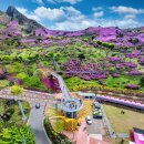 산청한방가족호텔(주) 이미지