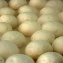 찐빵만두 이미지