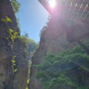 꿋꿋한농원 이미지