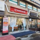 온누리애견미용실 | 사당동미용실 추천! 유헤어살롱_사장님의 꼼꼼한 상담과 커트 후기