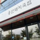 풍년돼지국밥 이미지