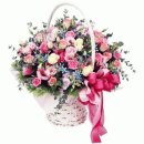 하얀기쁨 이미지