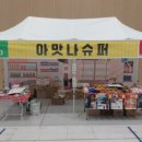 스타이용원 이미지