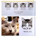 행복한 고양이 이미지