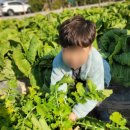 아가페어린이집 이미지