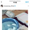 코코라이프