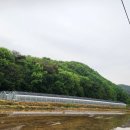 사기소리마을회관 이미지