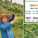 일본 쌀가루 산업의 현재와 시사점 - 4. 제품 적합성은 물론 생산 안정까지 고려한 품종개발 그리고...