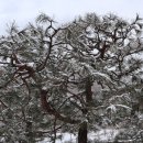 대야미역 이미지