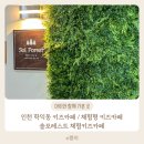 70 | 인천 학익동 키즈카페 체험형 키즈카페 솔포레스트...함께 다녀온 솔직 후기 (요리수업, 흙놀이, 물감놀이)