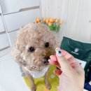 참누리곤충농원 이미지