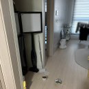 청소쟁이 이미지