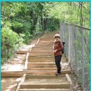 우면산 (남태령 정각사) 이미지