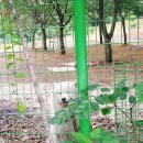 방태산황토펜션식당 이미지