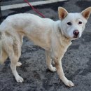 일산5리 이미지