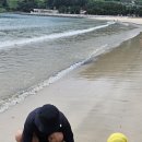 상주은모래비치 이미지