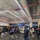 용인대본투더복싱 이미지