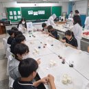 인사이언스 이미지