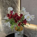 데르마피부과의원 이미지