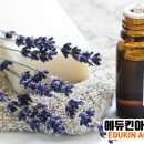 본아로마마사지 이미지