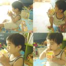 주혁목장 이미지