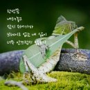 관*이* 이미지
