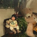 스위트번스전북고창점 이미지