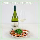 개봉남부점현대자동차 | [콘차이토로 더 와인 소비뇽 블랑] 신규 론칭한 칠레 프리미엄 화이트와인