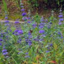 9월 1일 월요일 부김방 출석부 이미지