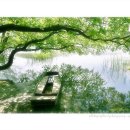 나무와새 이미지