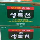 백두약국 Daum카페
