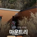 성주읍4길 | 성주 대형카페 마운트리 과일어린이과학체험관 같이 가볼만한곳