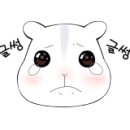 넬 동물의료센터 이미지