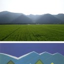 울진초등학교 | ‘눈앞’에 있는 산을 떼어다 ‘가슴’에 품고… 평생을 그리다-화가 유영국